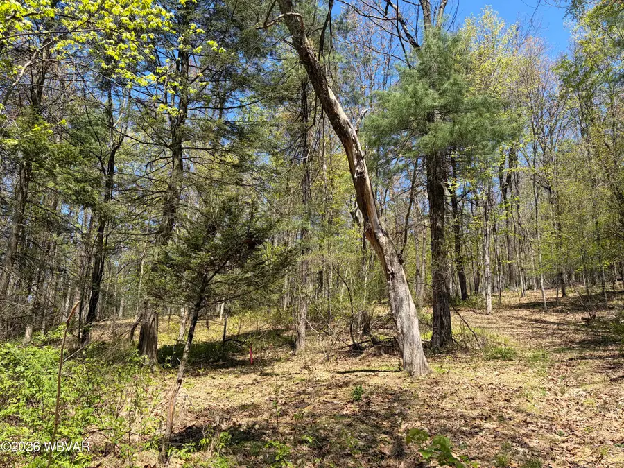 PARCEL 112 Tallman Hollow Road #LOT 3, Montoursville, PA 17754 - #3