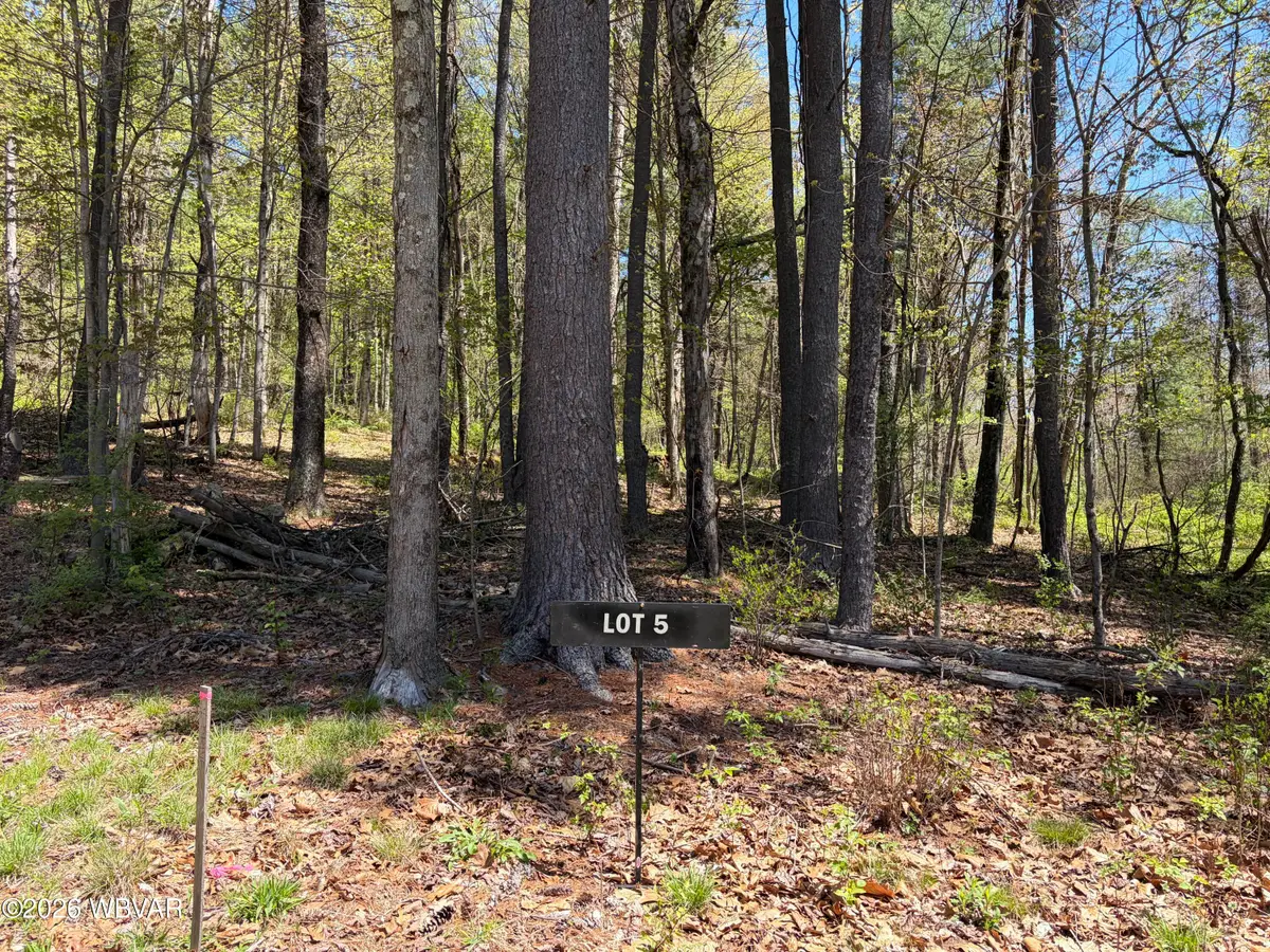 PARCEL 112 Tallman Hollow Road #LOT 5, Montoursville, PA 17754 - #1