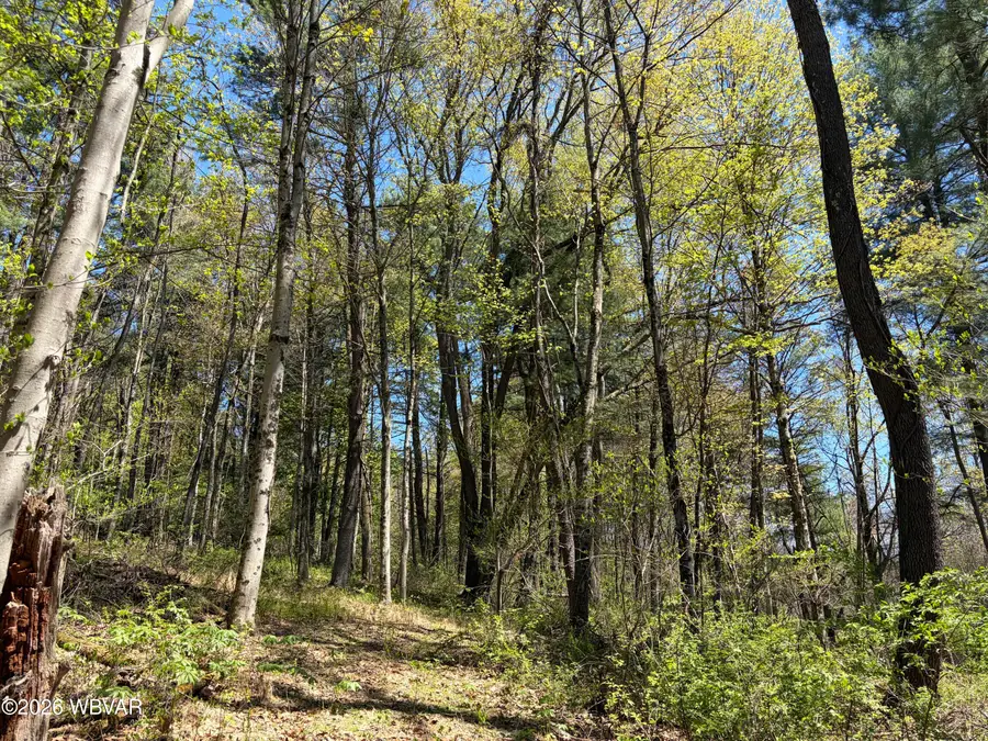 PARCEL 112 Tallman Hollow Road #LOT 5, Montoursville, PA 17754 - #2