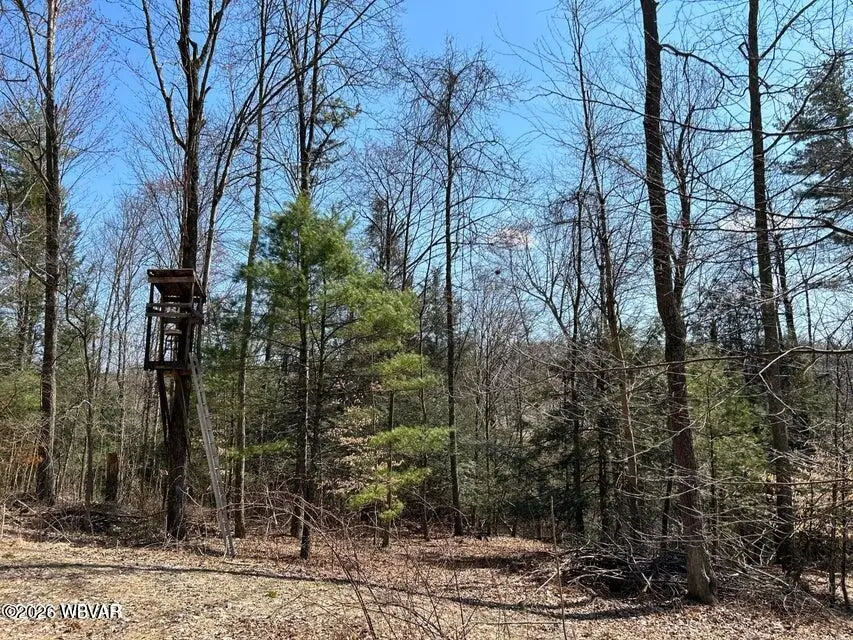 PARCEL 112 Tallman Hollow Road #LOT 5, Montoursville, PA 17754 - #3