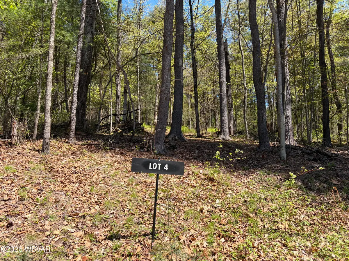 PARCEL 112 Tallman Hollow Road #LOT 4, Montoursville, PA 17754 - #1