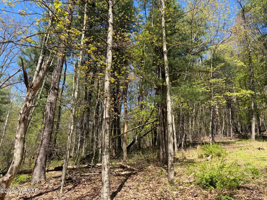 PARCEL 112 Tallman Hollow Road #LOT 4, Montoursville, PA 17754 - #2