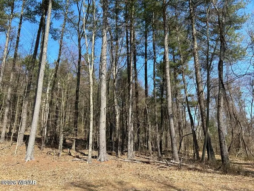 PARCEL 112 Tallman Hollow Road #LOT 4, Montoursville, PA 17754 - #3