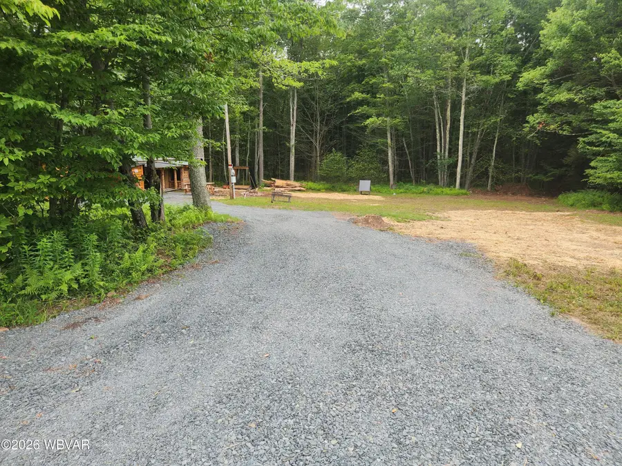 119 Tuffy Road, Shunk, PA 17768 - #2
