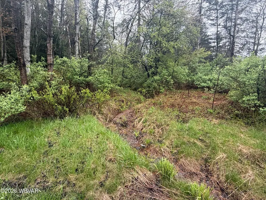 11889 Route 154, Shunk, PA 17768 - #3