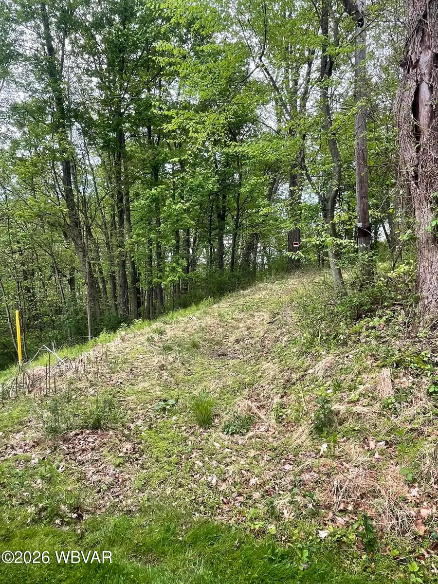 Sand Hill Road, Montoursville, PA 17754 - #3