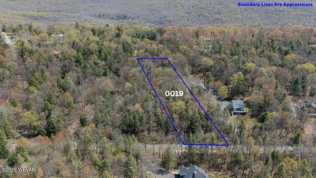 PARCEL 0019 Dunham Avenue, Eagles Mere, PA 17731 - #1