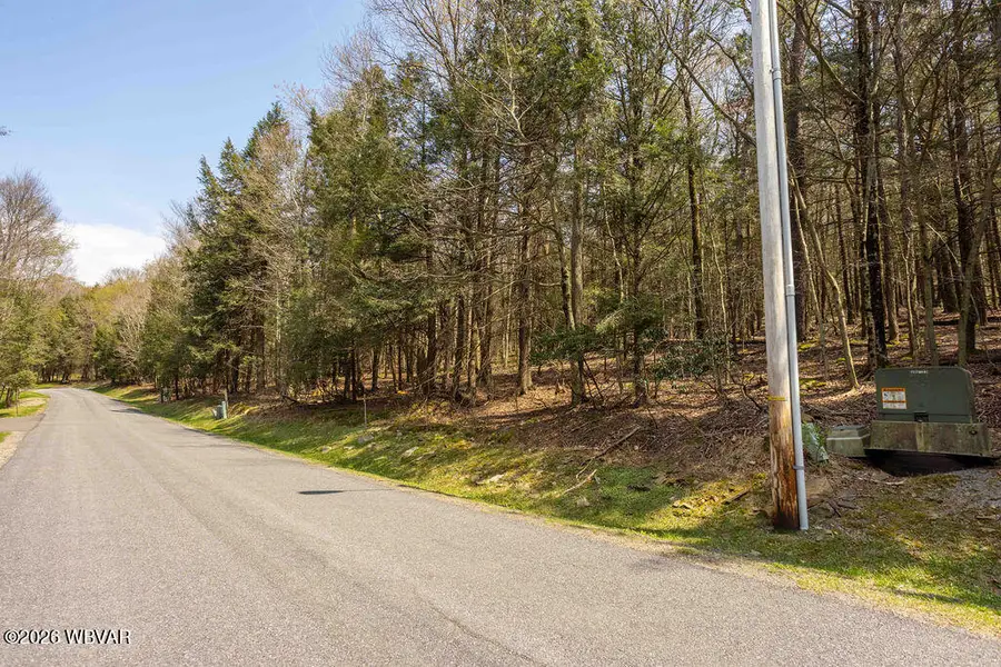 PARCEL 0019 Dunham Avenue, Eagles Mere, PA 17731 - #2