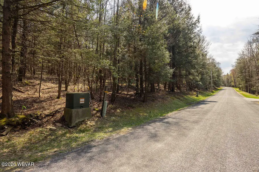 PARCEL 0018 Dunham Avenue, Eagles Mere, PA 17731 - #3