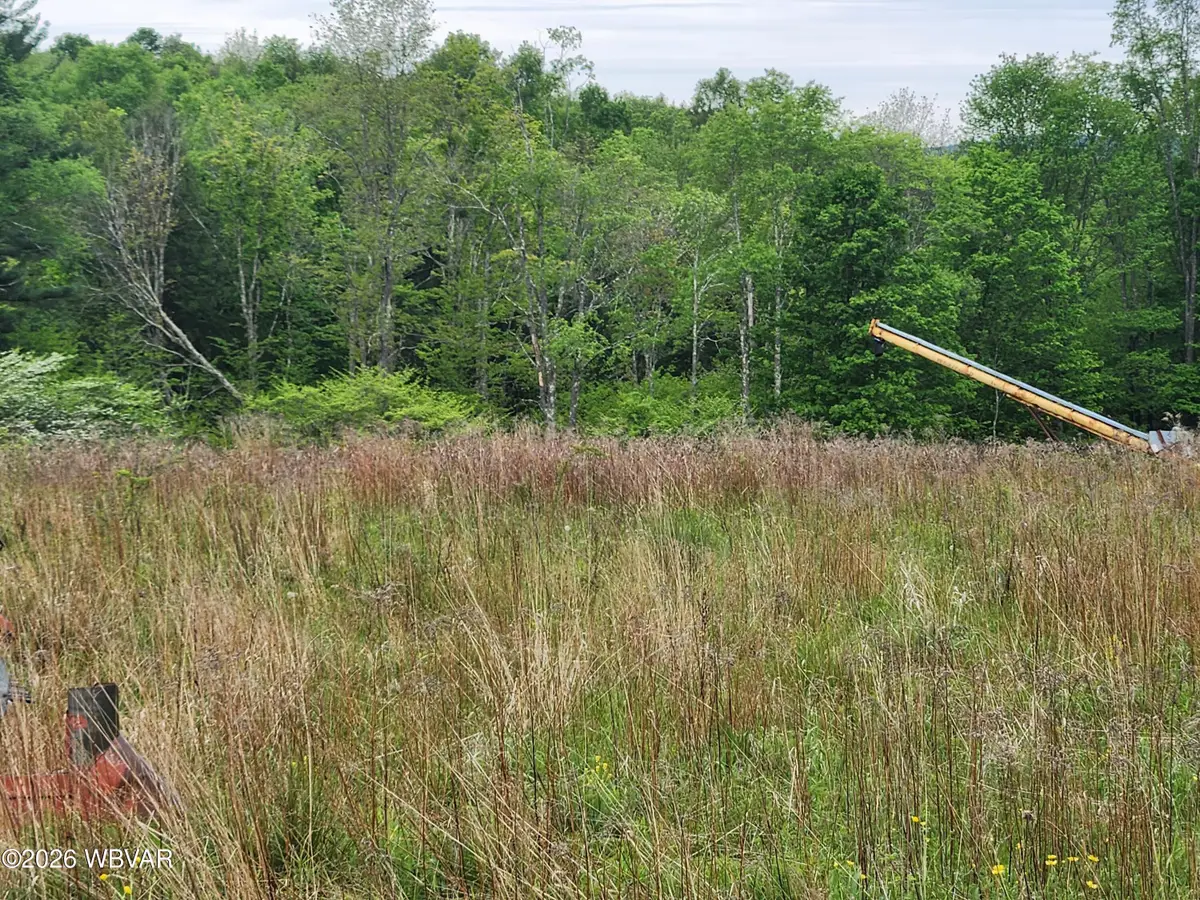 Dykes Road #LOT 3, Forksville, PA 18616 - #1