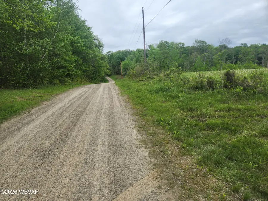 Dykes Road #LOT 3, Forksville, PA 18616 - #2