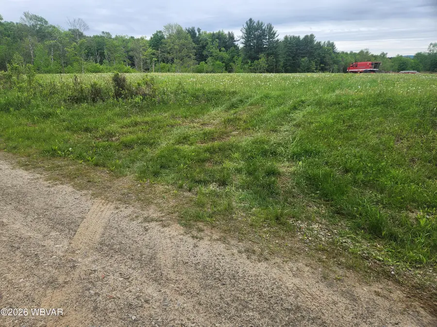 Dykes Road #LOT 3, Forksville, PA 18616 - #3