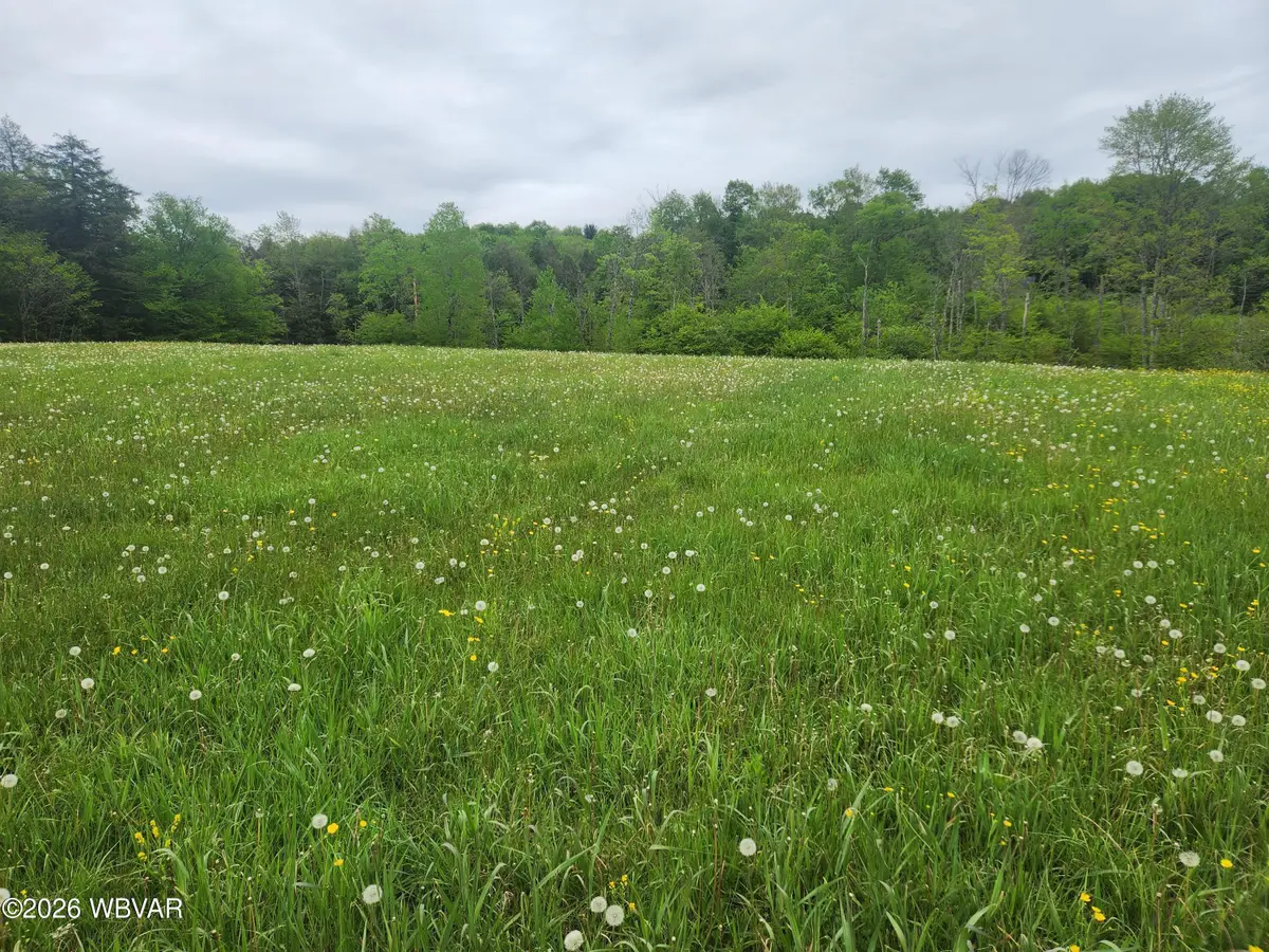 Dykes Road #LOT 4, Forksville, PA 18616 - #1