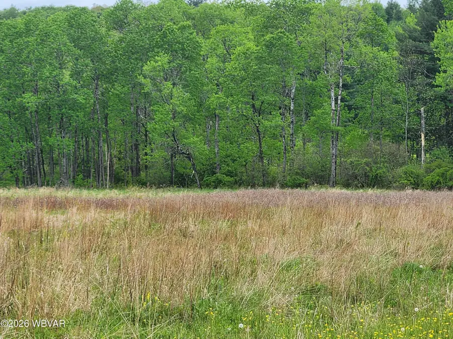 Dykes Road #LOT 4, Forksville, PA 18616 - #2