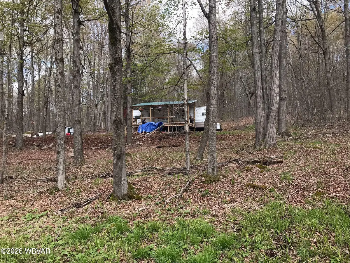 Birch Hill Road #LOT 11, Shunk, PA 17768 - #1