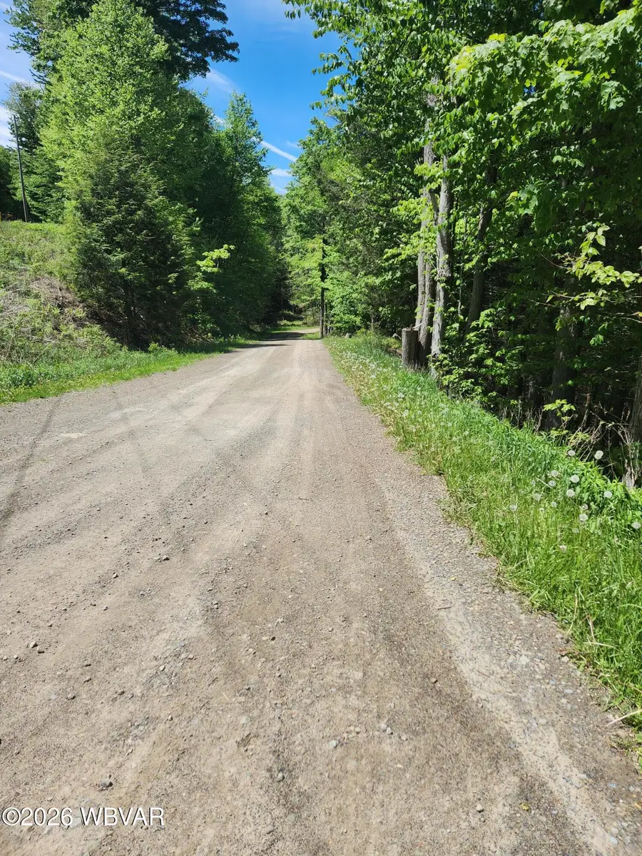 Birch Hill Road #LOT 11, Shunk, PA 17768 - #3
