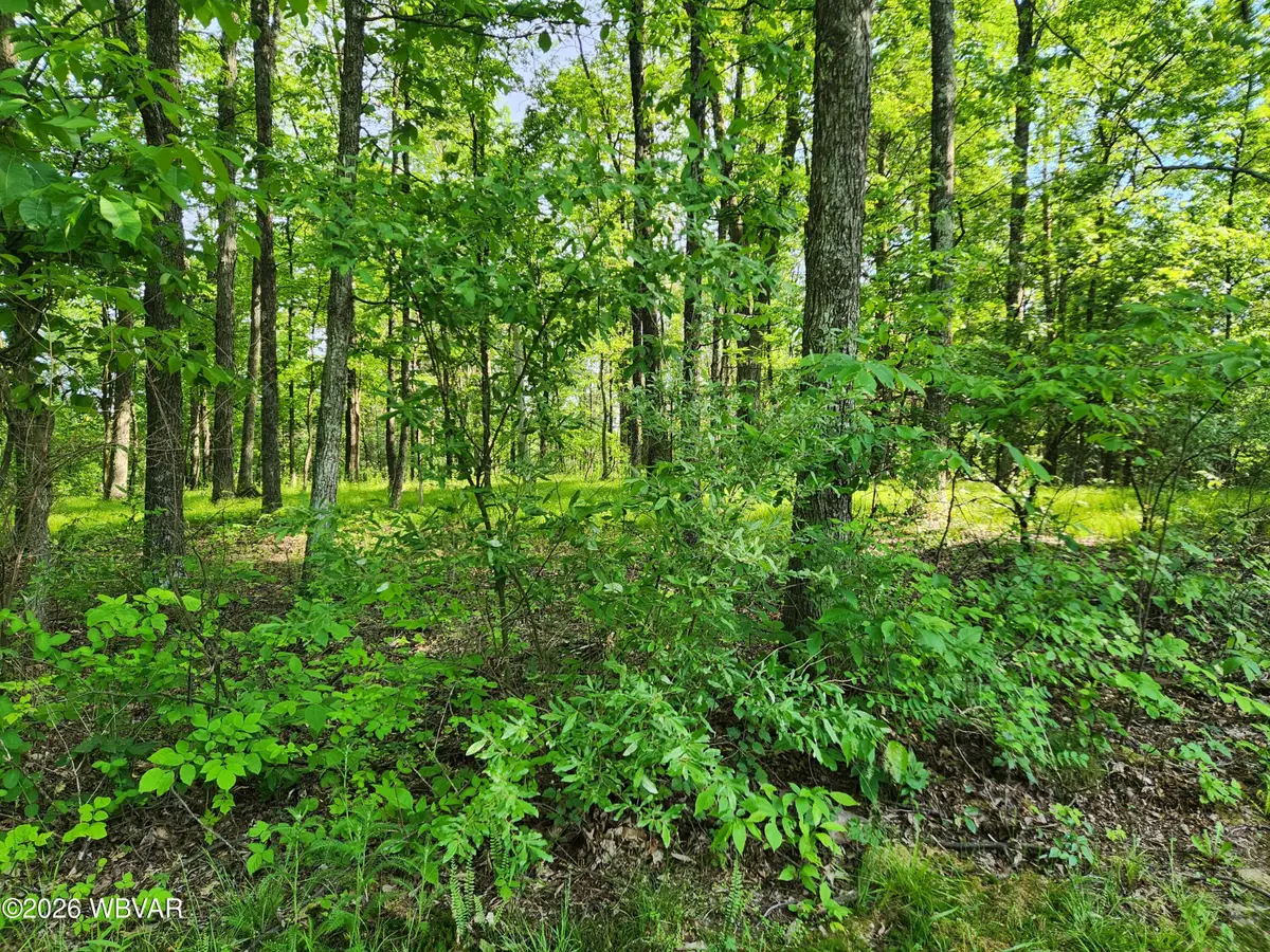 Oak Lane #LOT 79, Muncy Valley, PA 17758 - #1