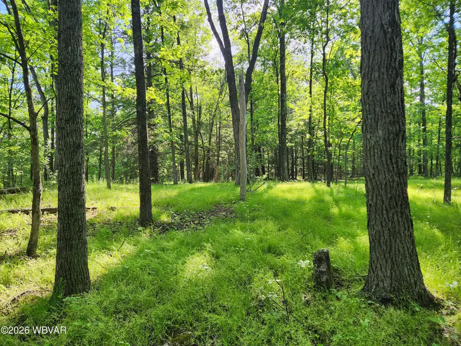 Oak Lane #LOT 79, Muncy Valley, PA 17758 - #2