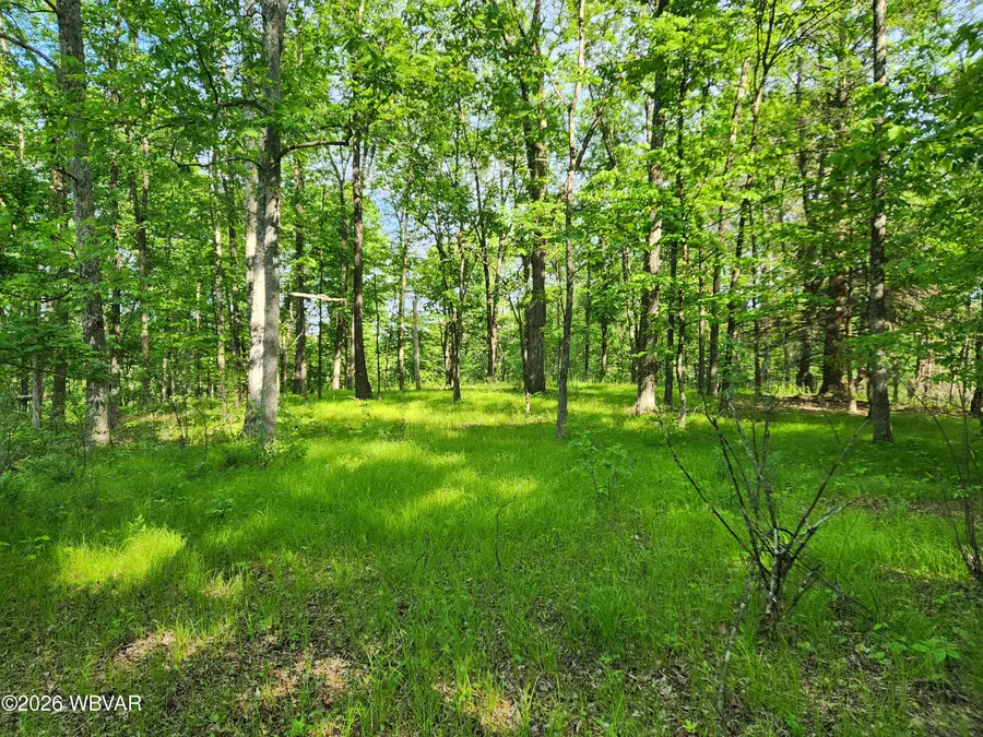 Oak Lane #LOT 79, Muncy Valley, PA 17758 - #3