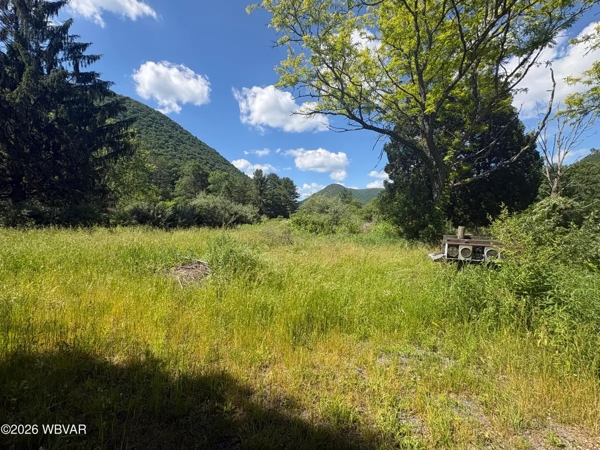 158 Cornwall Avenue, Trout Run, PA 17771 - #1