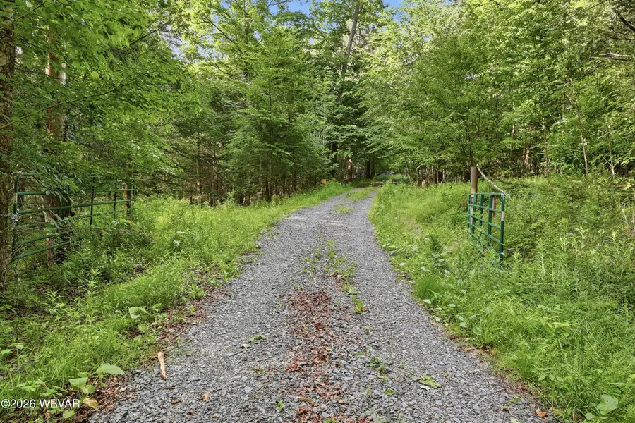 PARCEL 039 Ely Road, New Albany, PA 18833 - #3