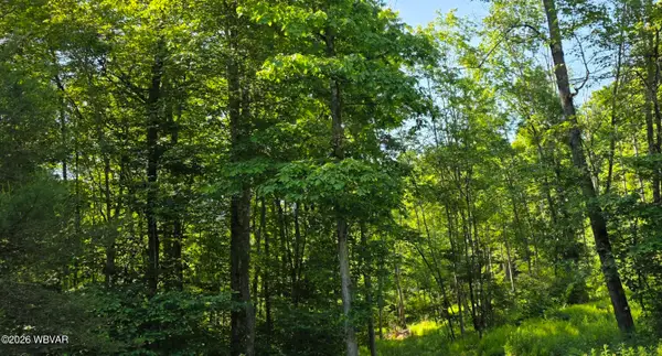 Dip Hollow Lane, Cross Fork, PA 17729