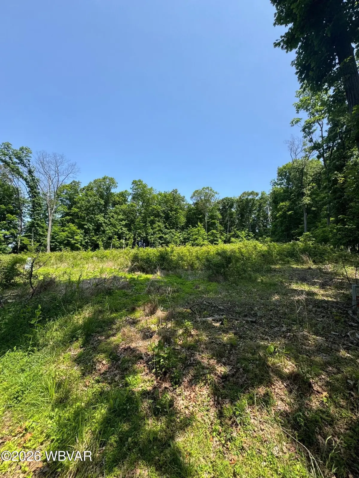 143 Rakestraw Road, Montoursville, PA 17754 - #1