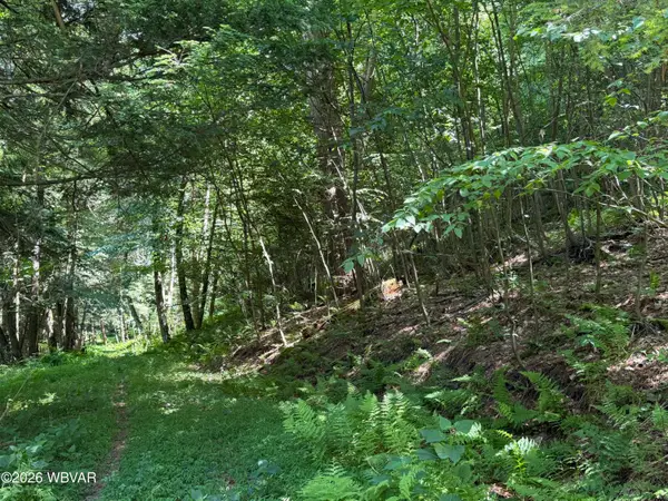 Bottle Run Road, Williamsport, PA 17701