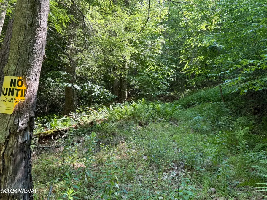 Bottle Run Road, Williamsport, PA 17701 - #2