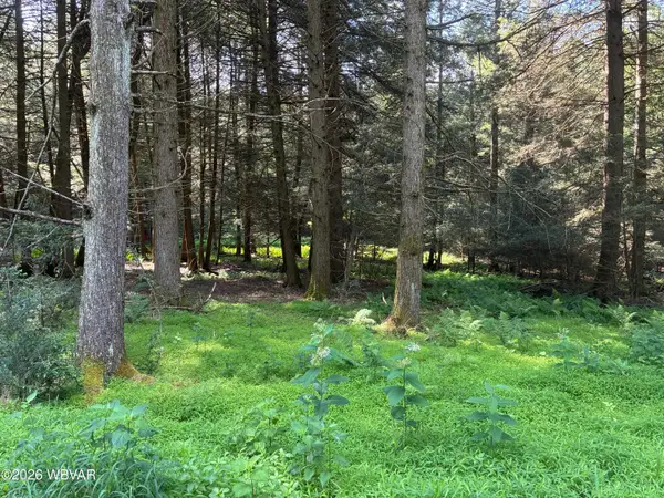 PARCEL 25693 Queens Run Road, Lock Haven, PA 17745