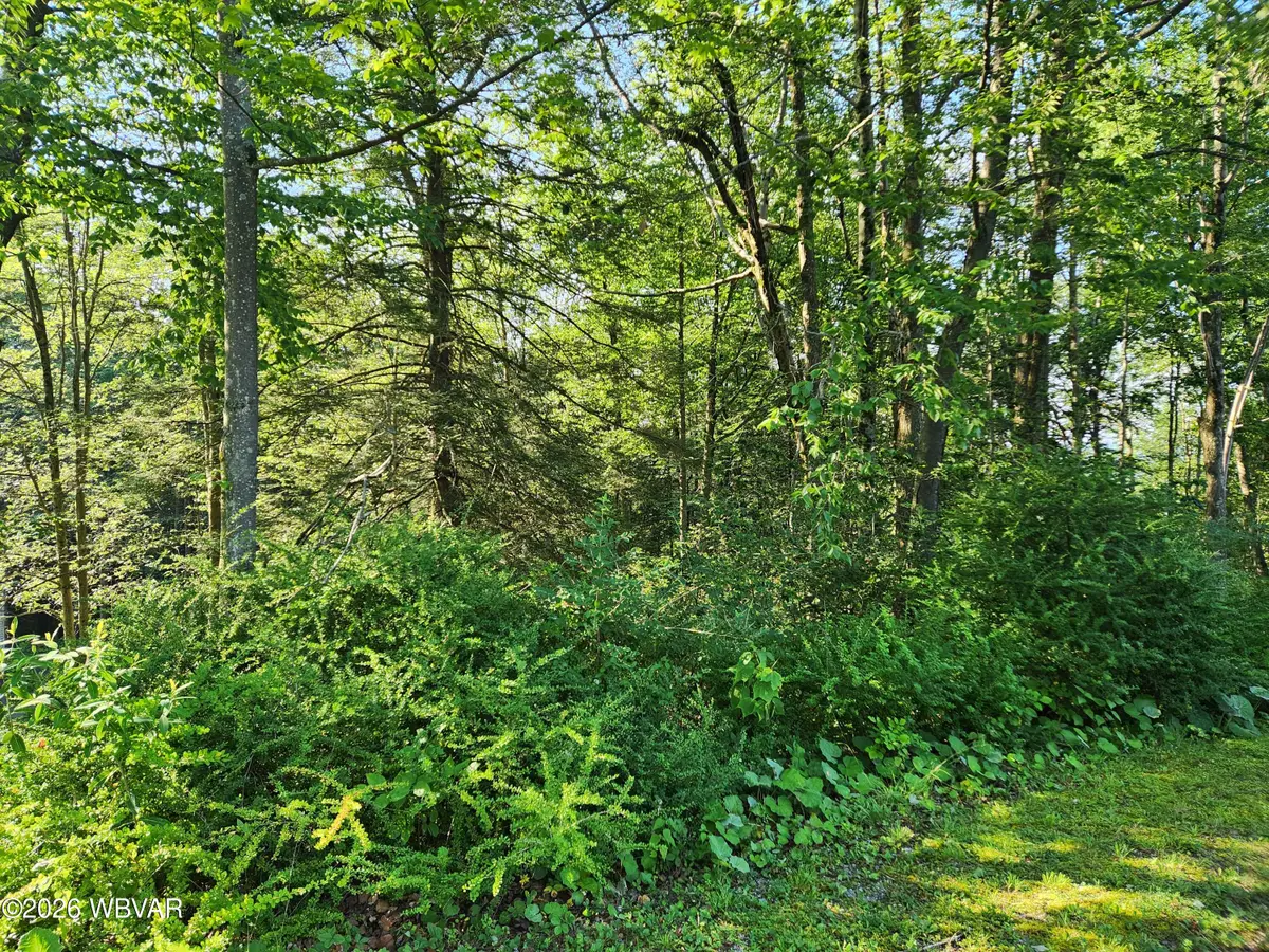 Rider Lane #LOT 4, Eagles Mere, PA 17731 - #1