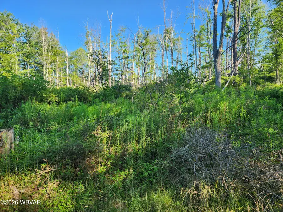 Rider Lane #LOT 4, Eagles Mere, PA 17731 - #3