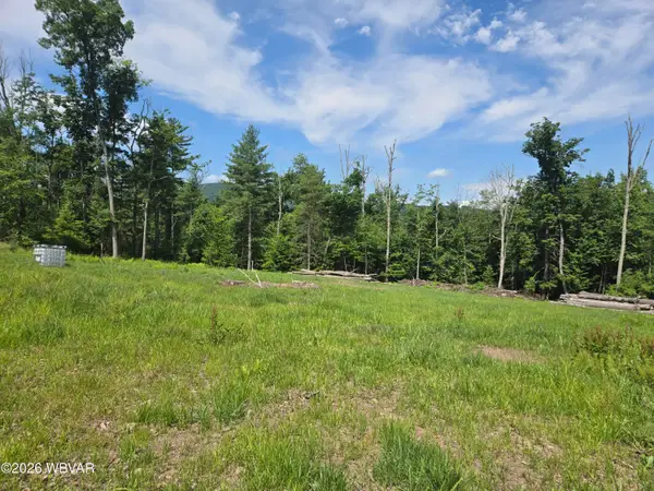 628 Hubbard Hollow Road, Jersey Shore, PA 17740