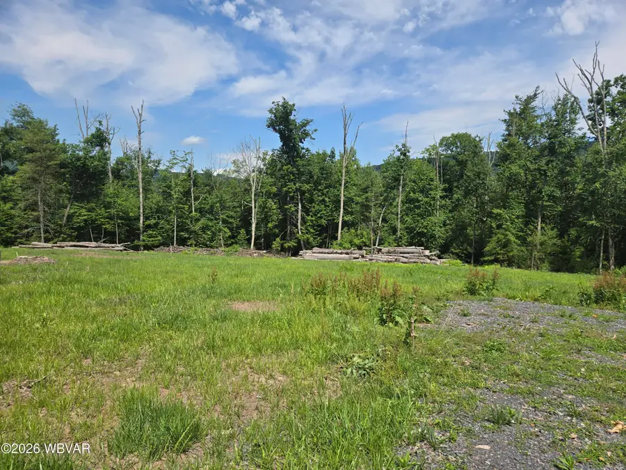 628 Hubbard Hollow Road, Jersey Shore, PA 17740 - #3