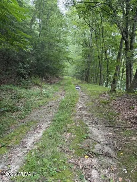 PARCEL 101 Rear Fairview Road, Williamsport, PA 17701 - #2