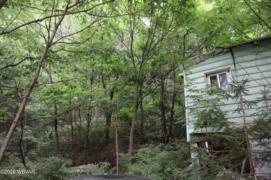 2072 Sugar Run Road, Mill Hall, PA 17751 - #3