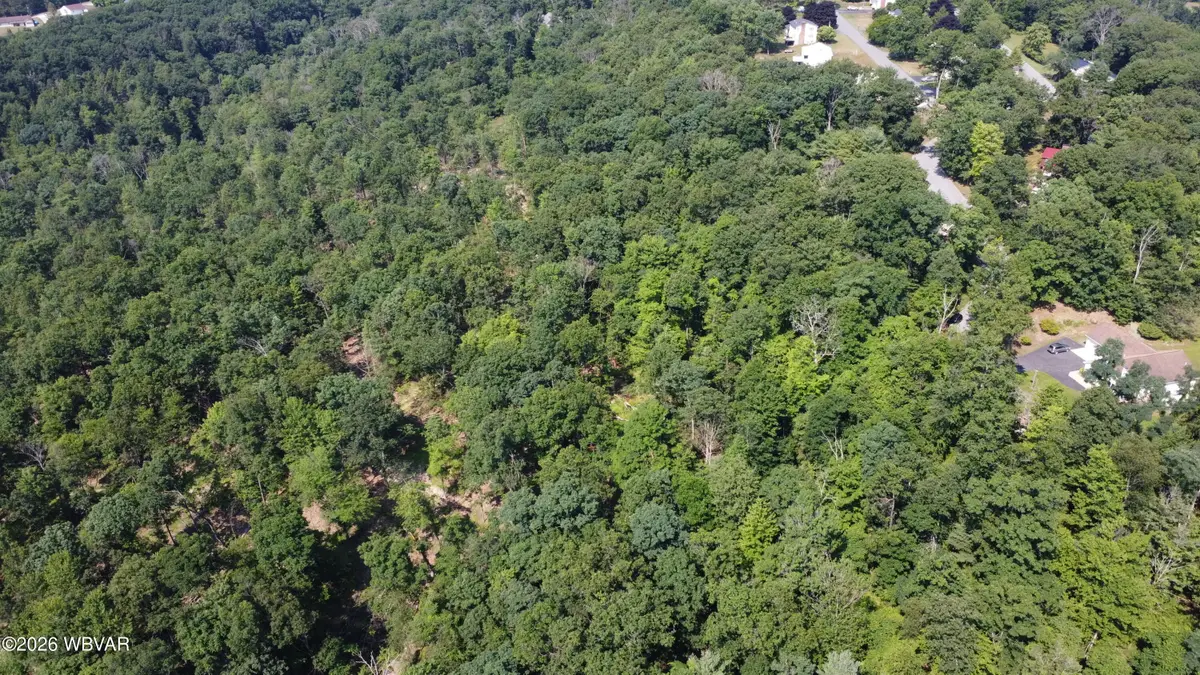 PARCEL 148.A Longview Drive, Williamsport, PA 17701 - #1
