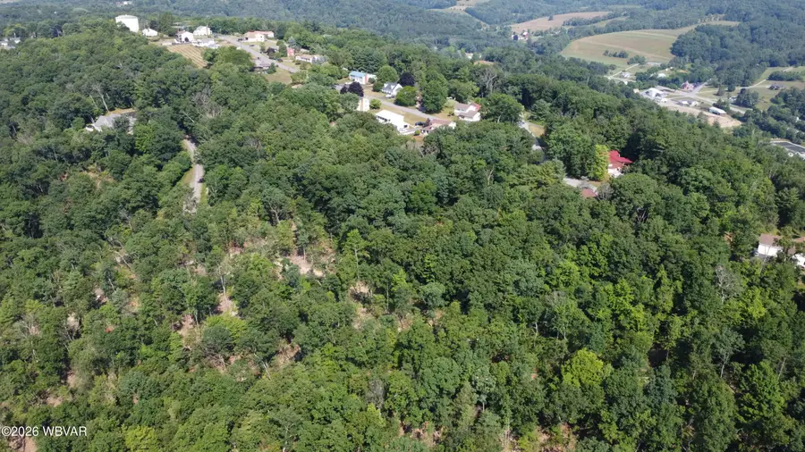 PARCEL 148.A Longview Drive, Williamsport, PA 17701 - #3