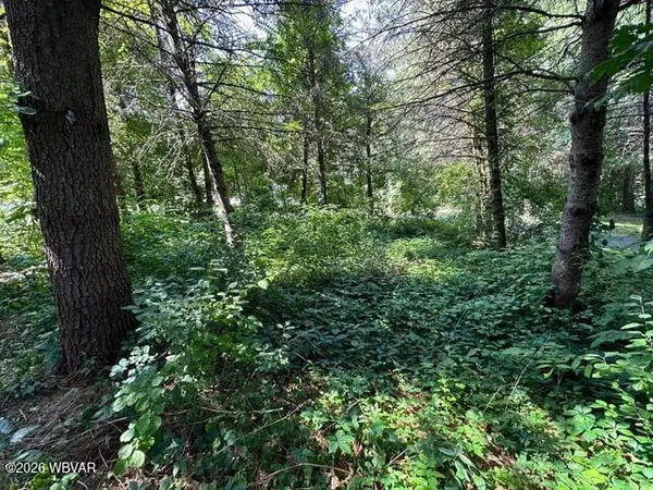 PARCEL 022 Pole Bridge Road #LOT 35, Muncy Valley, PA 17758