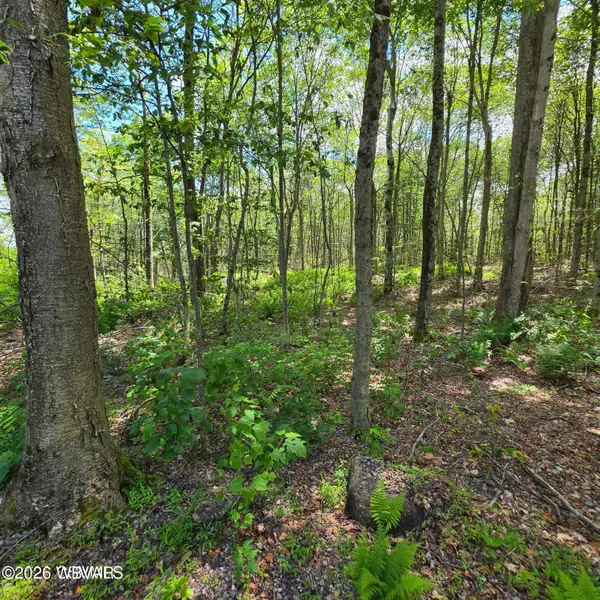 PARCEL 006 Pioneer Trail #LOT 1, Muncy Valley, PA 17758