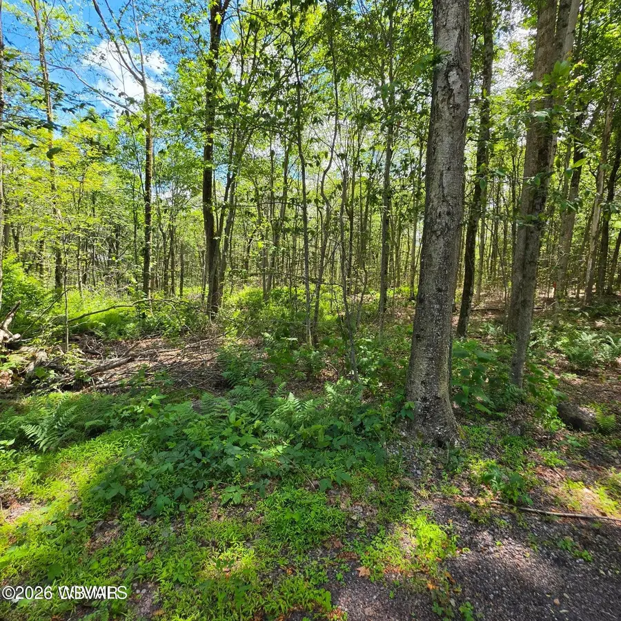 PARCEL 006 Pioneer Trail #LOT 1, Muncy Valley, PA 17758 - #2