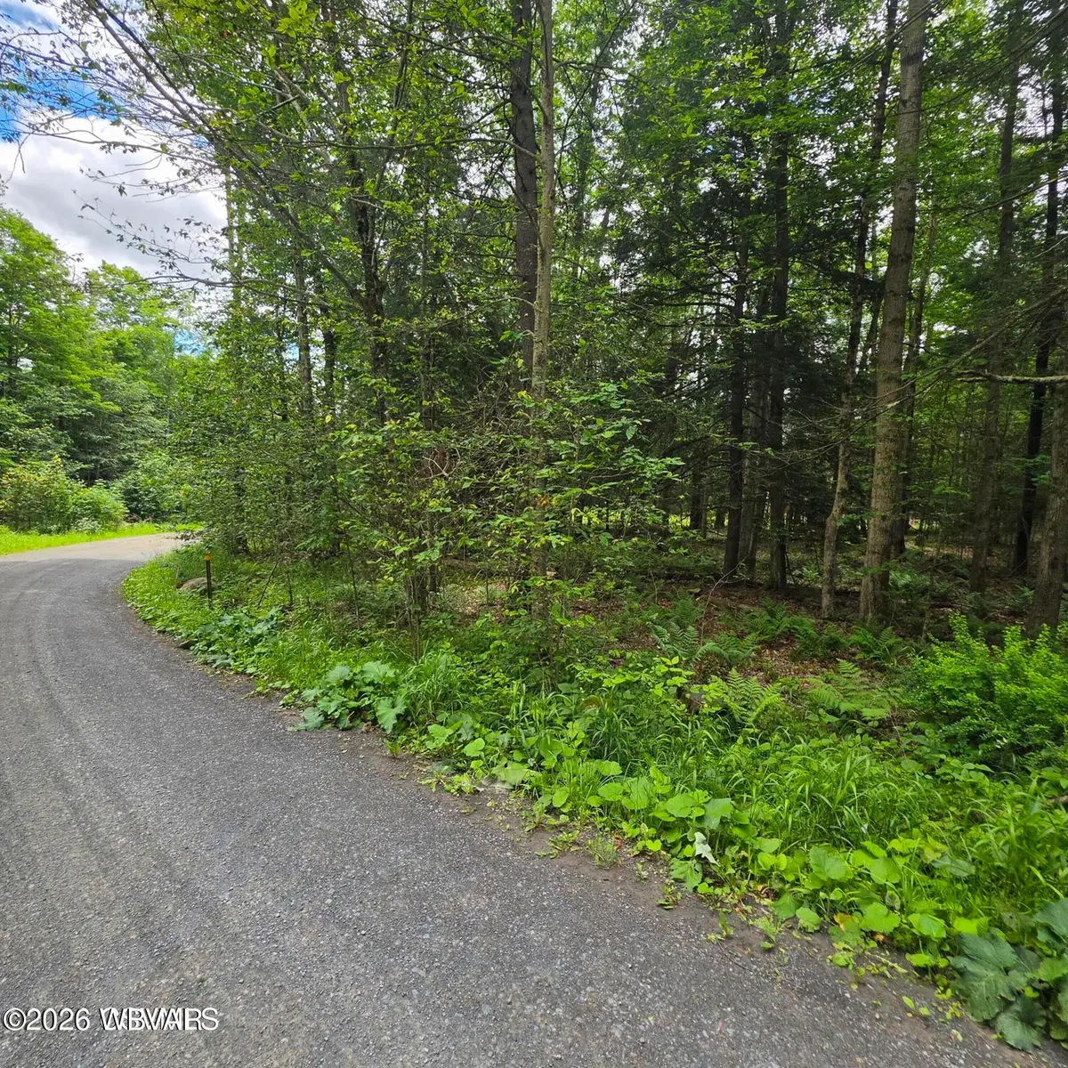 PARCEL 080 Wooded Lane #LOT 23, Muncy Valley, PA 17758 - #1