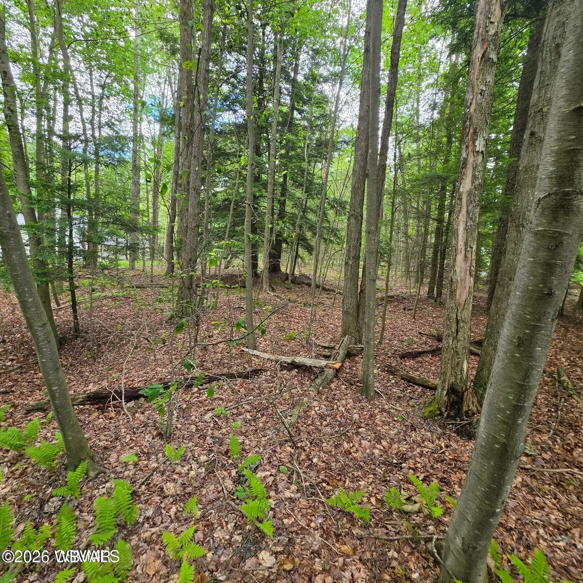 PARCEL 080 Nordmont Road #LOT 21, Muncy Valley, PA 17758 - #1
