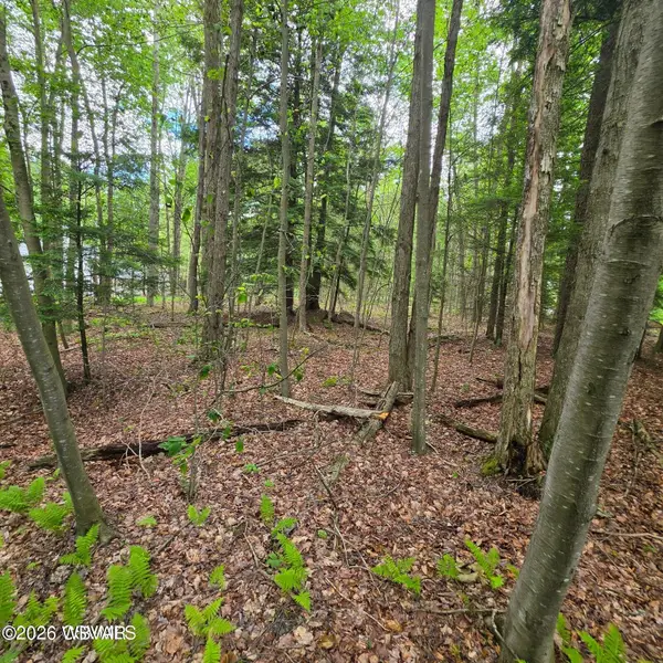 PARCEL 080 Nordmont Road #LOT 21, Muncy Valley, PA 17758