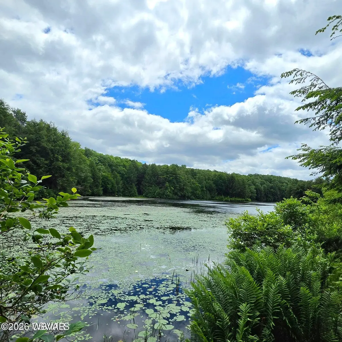 PARCEL 080 Deep Hollow Run #LOT 9, Muncy Valley, PA 17758 - #1