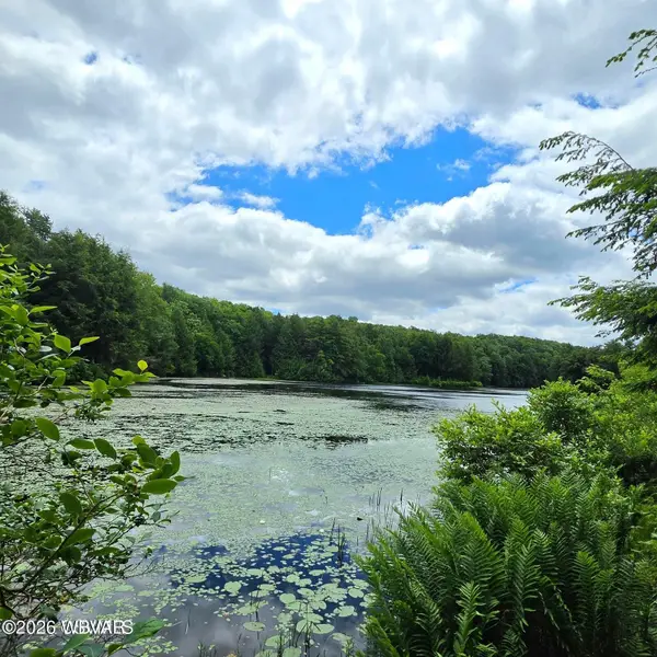 PARCEL 080 Deep Hollow Run #LOT 9, Muncy Valley, PA 17758