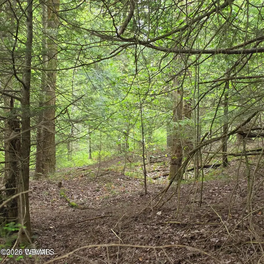 PARCEL 080 Deep Hollow Run #LOT 9, Muncy Valley, PA 17758 - #3