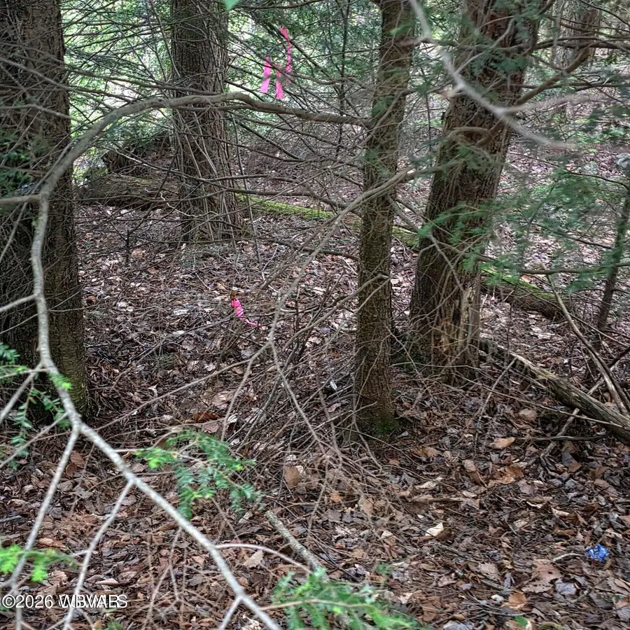 PARCEL 054 Lark Road #LOT 17, Dushore, PA 18614 - #2