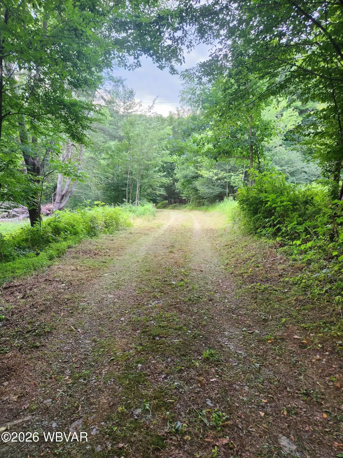 PARCEL 01A Lambert Hill Road, Dushore, PA 18614 - #1