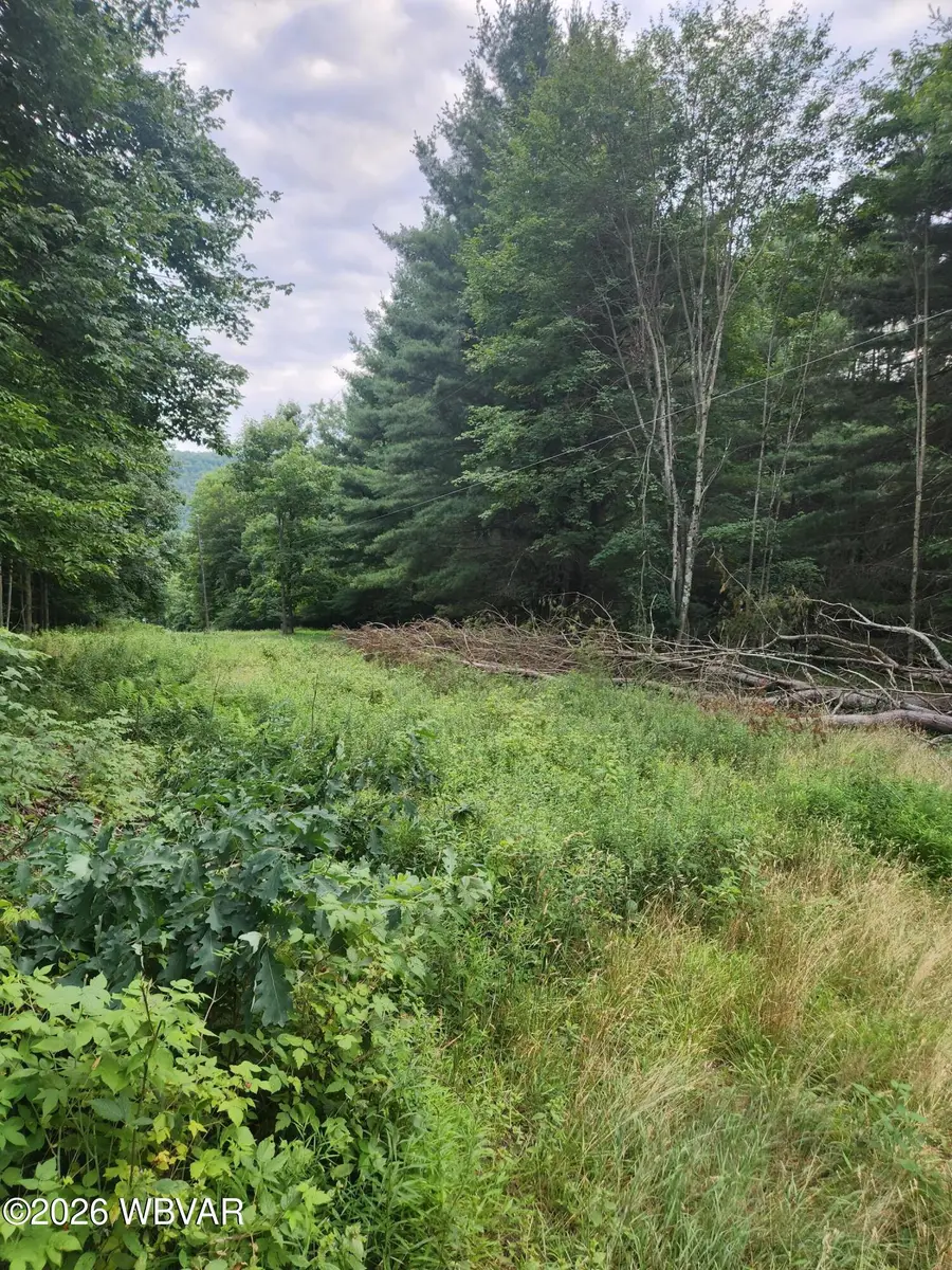 PARCEL 01A Lambert Hill Road, Dushore, PA 18614 - #3